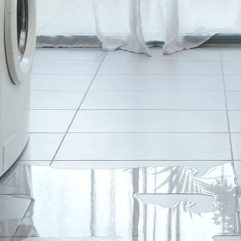 Appliance Leak Cleanup in Norridgewock, ME
