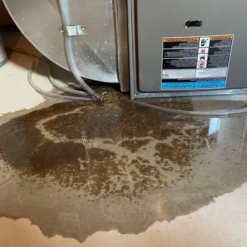 Pipe Burst and Leak Restoration in Norridgewock, ME