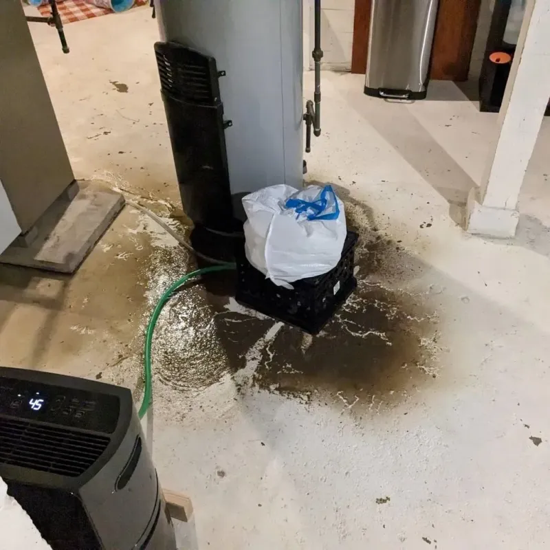 Sewage Backup Cleanup Service in Norridgewock, ME